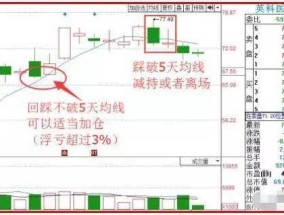 澳门三肖三码精准1000%,二四六天天玄机图资料-安卓版974.499